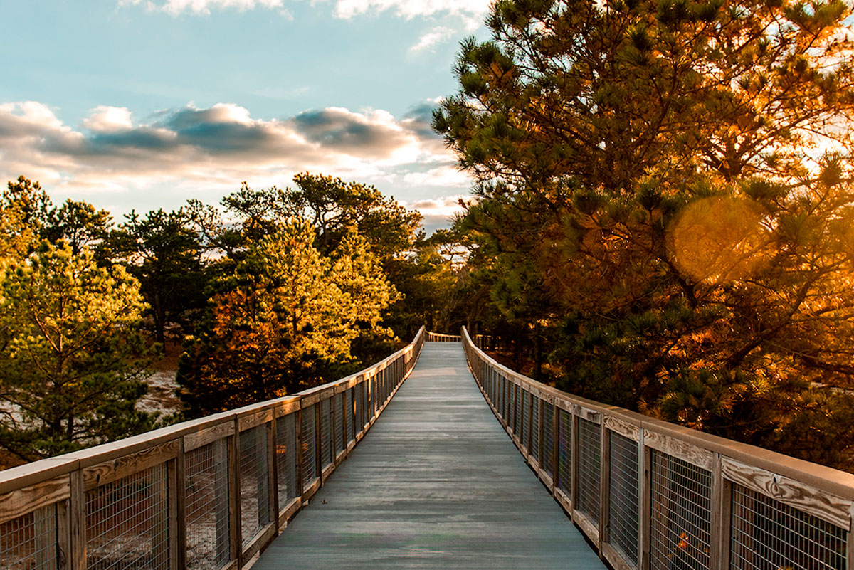 Brandywine Creek State Park