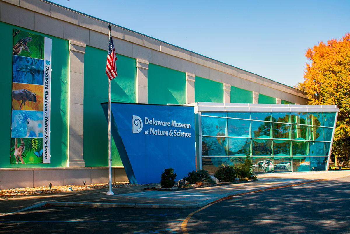 Delaware Museum of Natural History